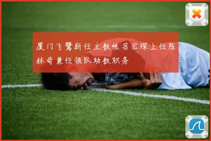 厦门飞鹭新任主教练吕宏琛上任陈林奇兼任领队助教职务